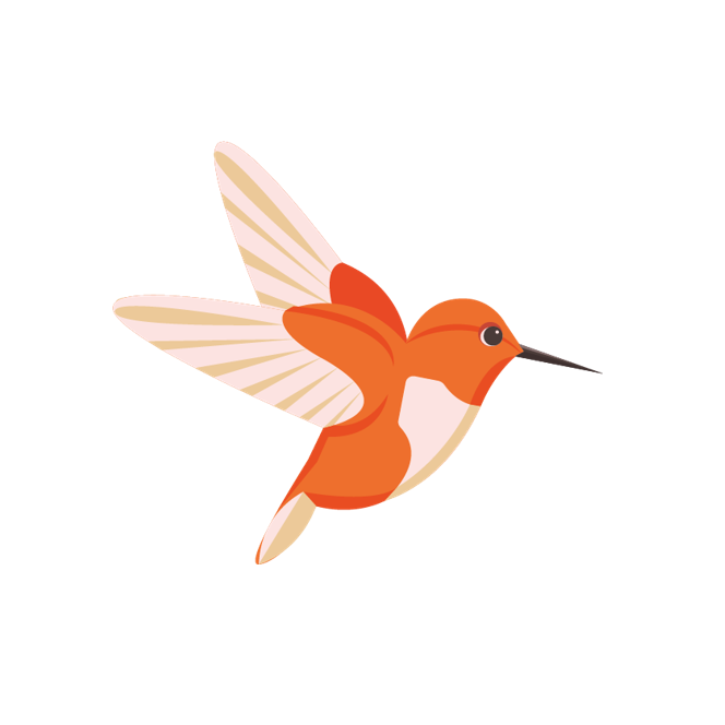 ecole-colibris-angers-alternatif-montessori-faure