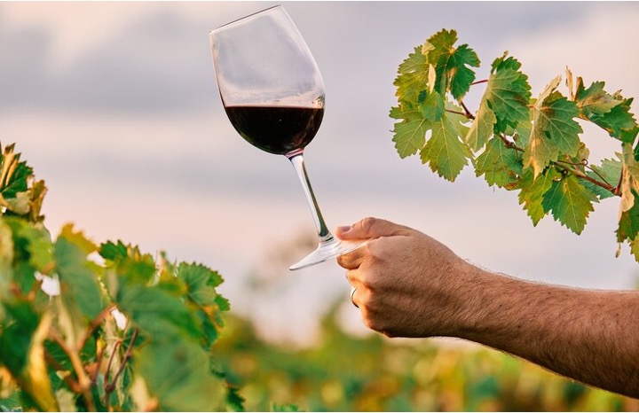 You are currently viewing Dégustation de vins chaque mois au profit des Colibris