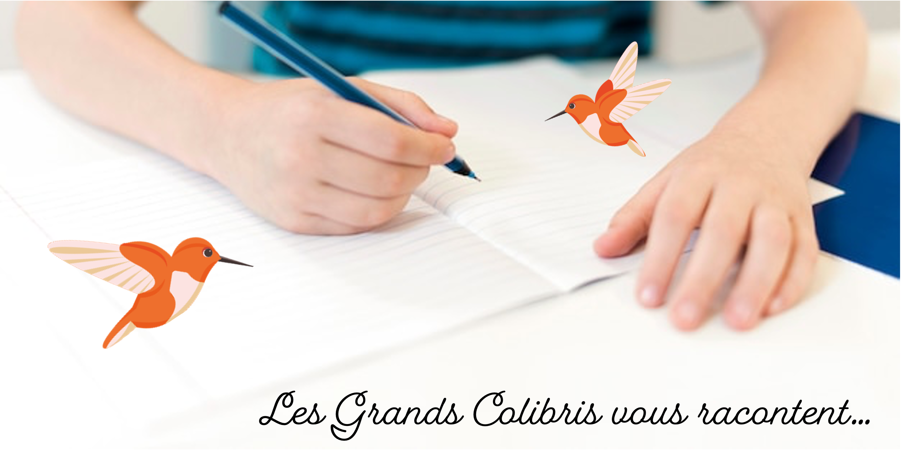 You are currently viewing Les grands colibris vous racontent…